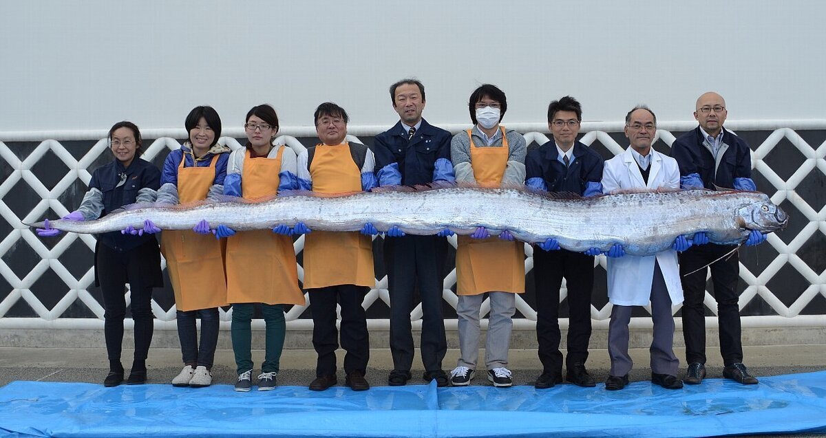 Изображение взято из открытых источников