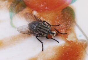    фото: freepik.com/brgfx Мария Михайловская