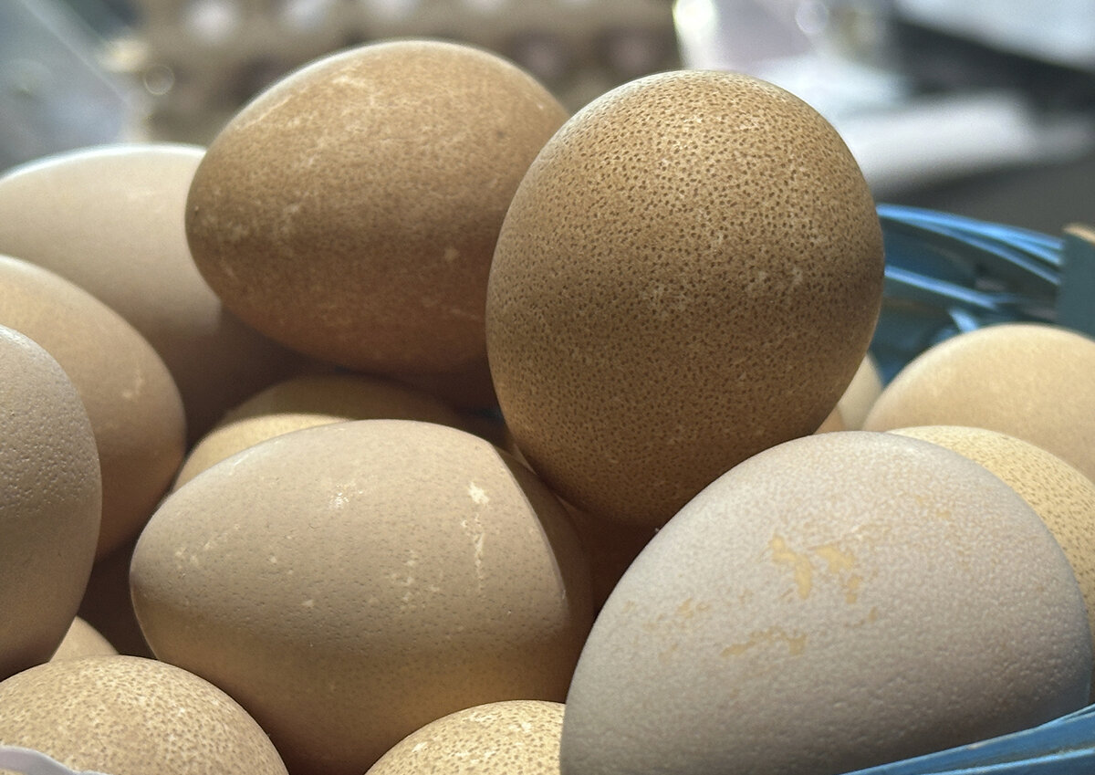 Фото: Московские ведомости