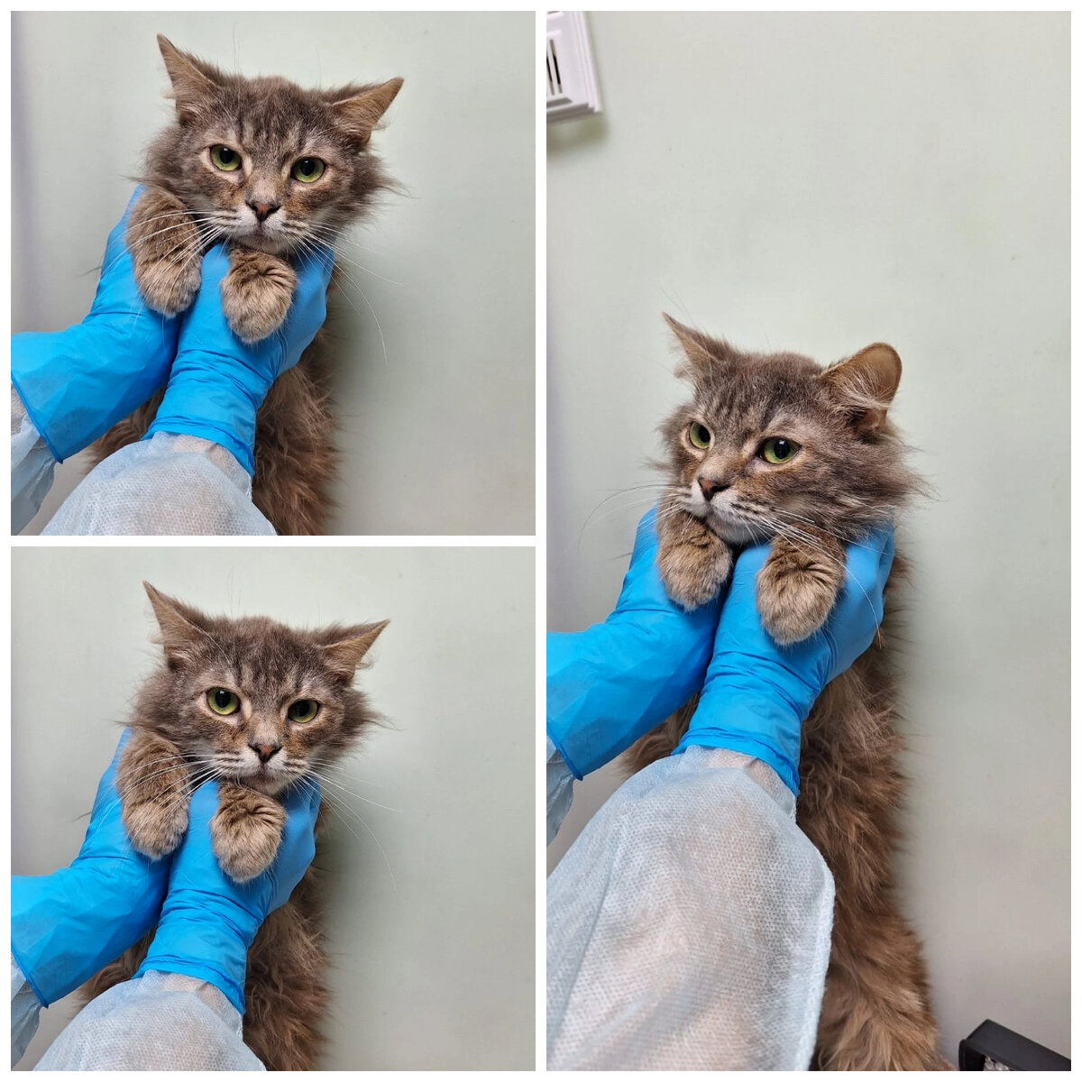 Моторчика нашли на улице.