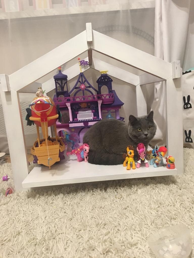 На выставке игрушек - я главный экспонат