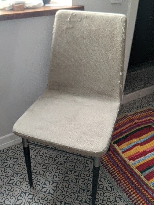 очень любили его драть котики (