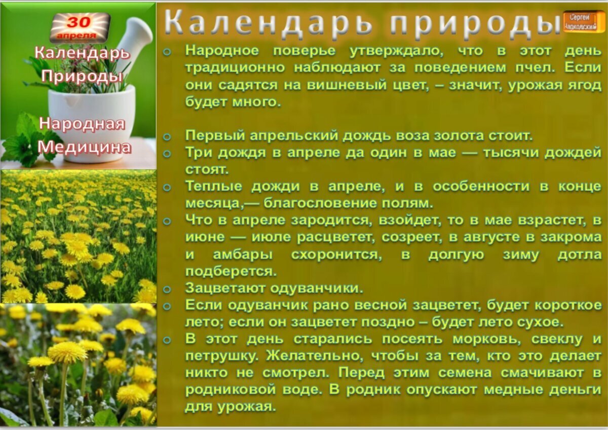 9 апреля приметы и поверья. 9 апреля приметы и поверья