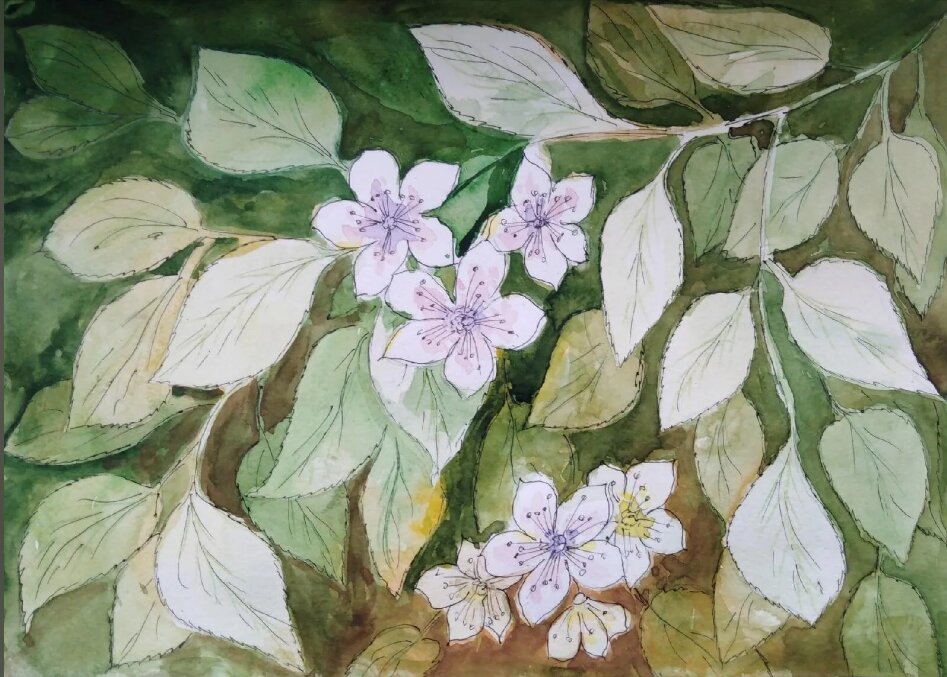 Если времени не хватает, рисую ночером!