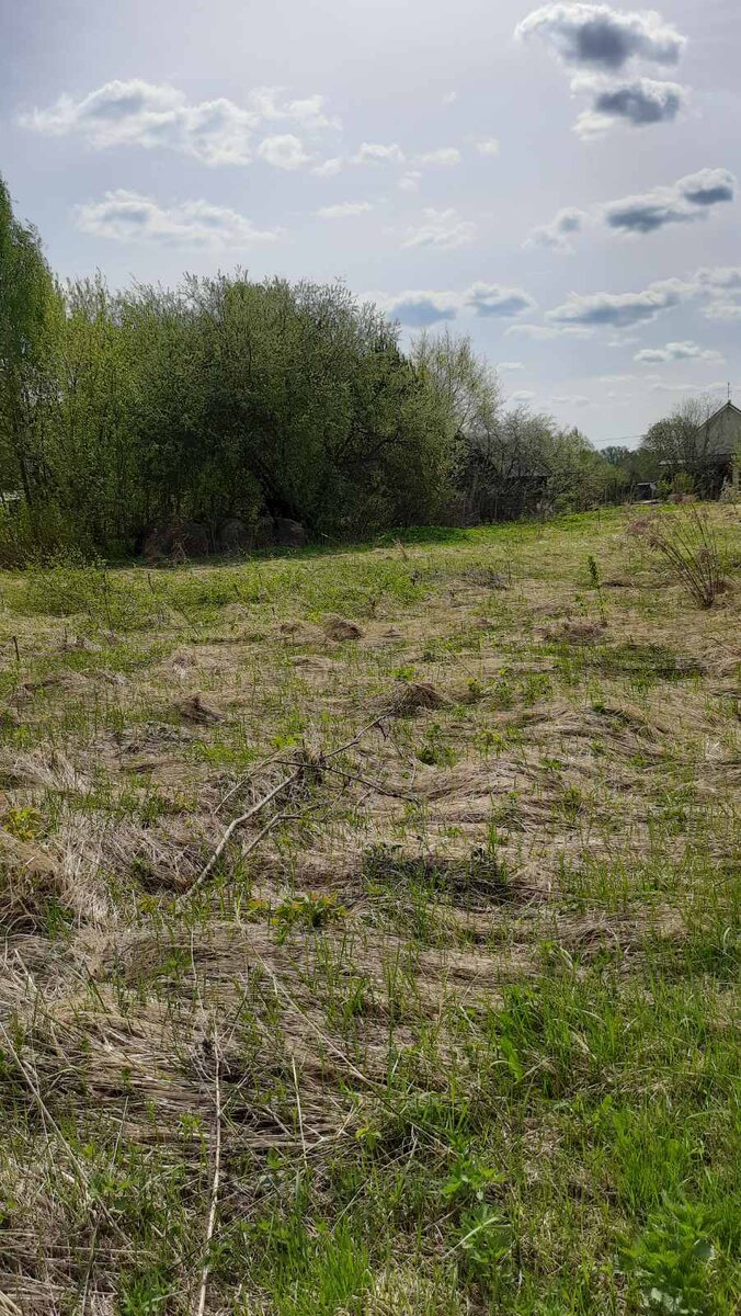 Дела огородные. Я лесоруб. | Записки из провинции. | Дзен