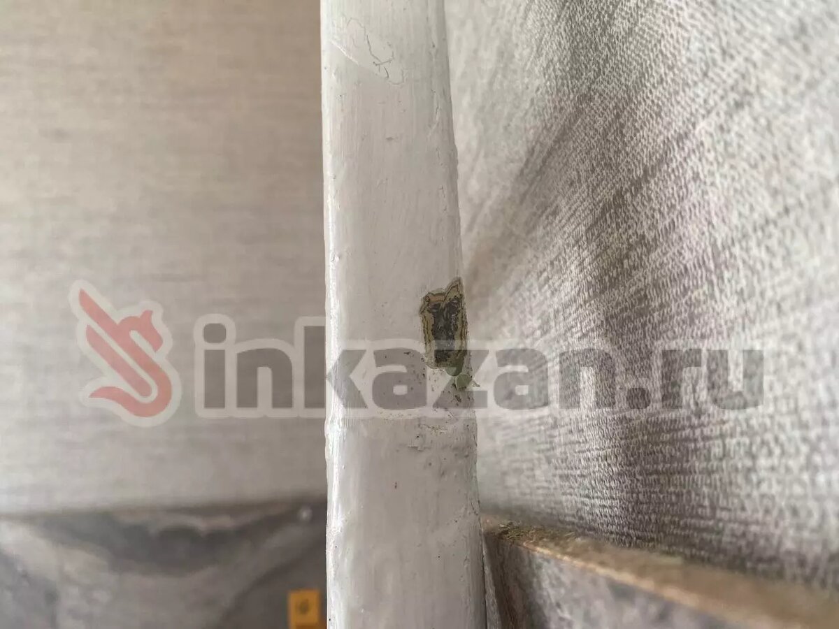     Автор: Рамзия Источник: inkazan.ru