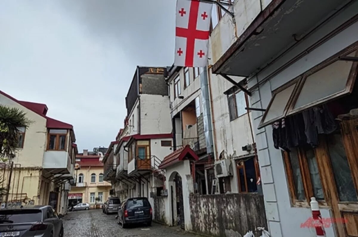    Грузинский политик: Грузию и Украину используют как пушечное мясо против РФ