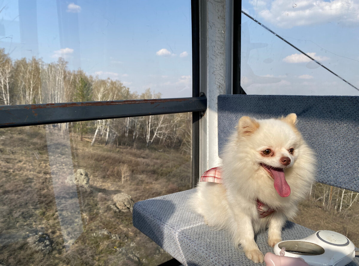 Страшно, очень страшно...