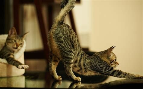 Фото из Интернета.