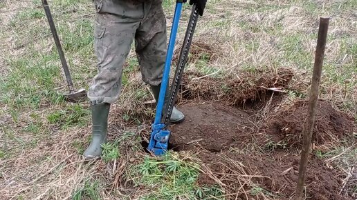 Лесной поиск металла в старых делянках и на опушках.