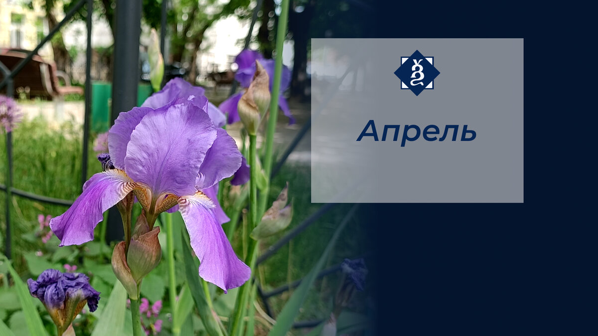 Очень цветущий месяц