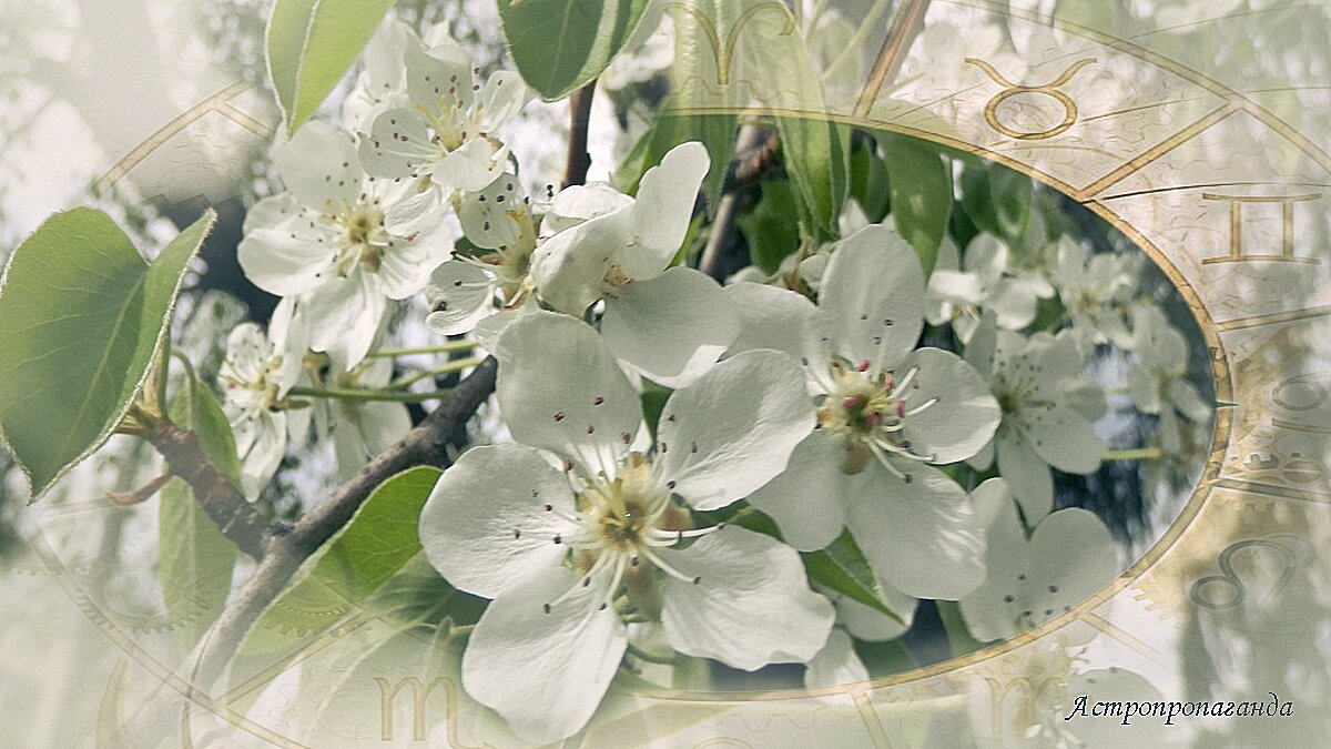 Гороскоп с 29 апреля по 5 мая 2024. Две планеты меняют знак, одна меняет курс. 