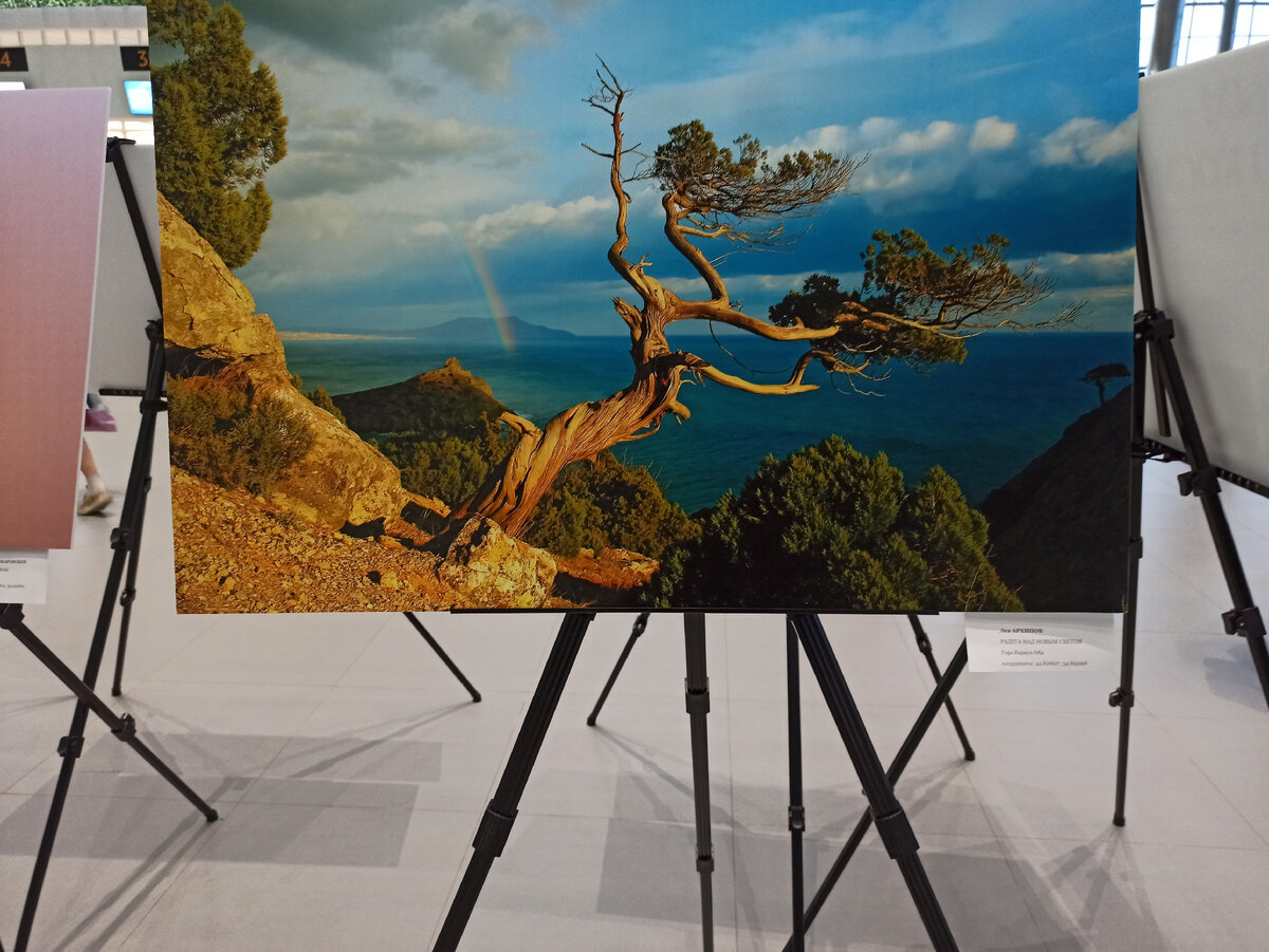 Выставка в аэропорту Симферополя. 2021 год