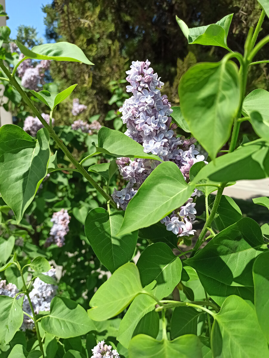 В Симферополе 2021