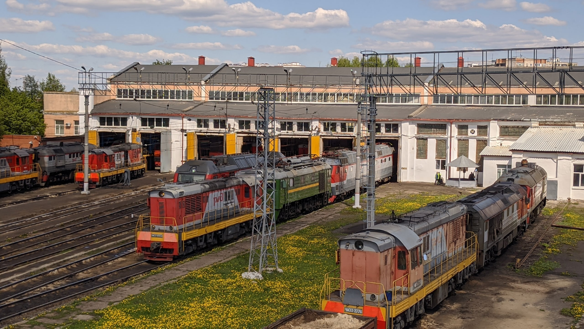 Фото Александр Шабанов