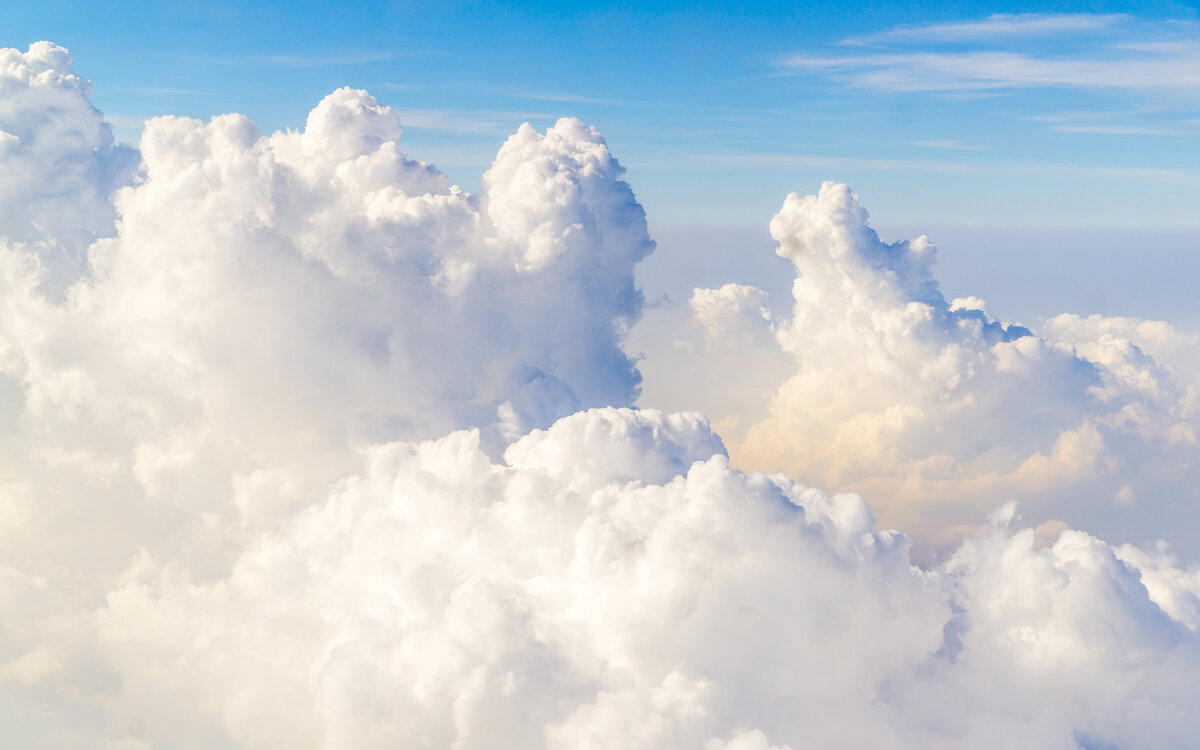         ,      : , , , .         .-2