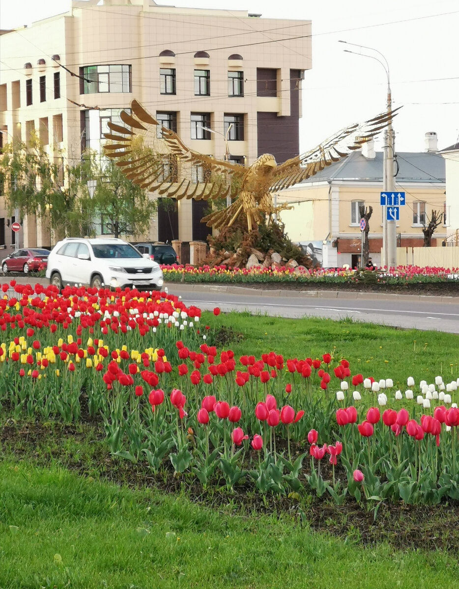 Орёл раскинул крылья 