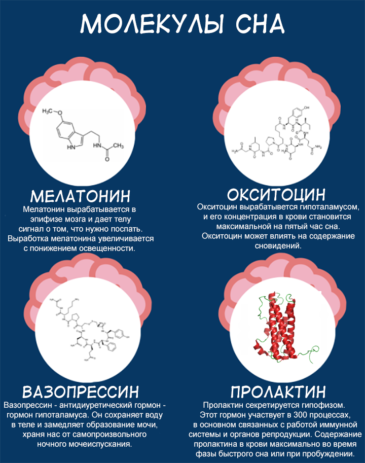 Мелатонин характеристика. Гормон во сне вырабатывается. Выработка гормонов во сне. Мелатонин гормон сна. Гормоны вырабатываемые во время сна.