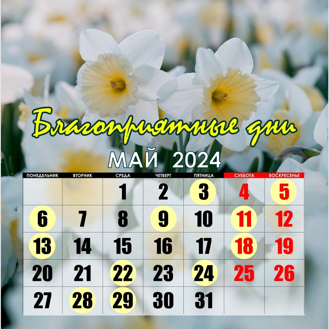 Благоприятные дни отмечены желтым кружком.