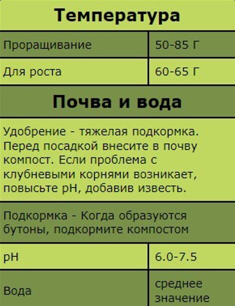 Капуста брокколи выращивание. 2024 Информация о выращивании и сборе урожая брокколи.