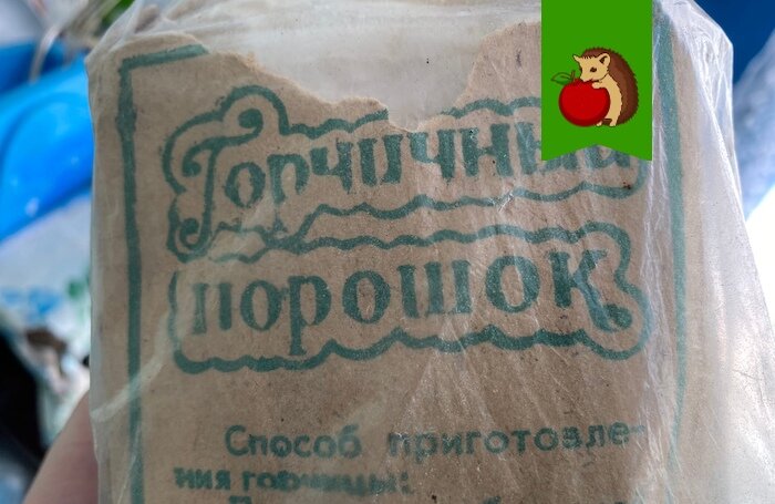 Что полезно положить в лунку под посадку картофеля, чтобы клубни были крупные, не поеденные проволочником: мои любимые ингредиенты