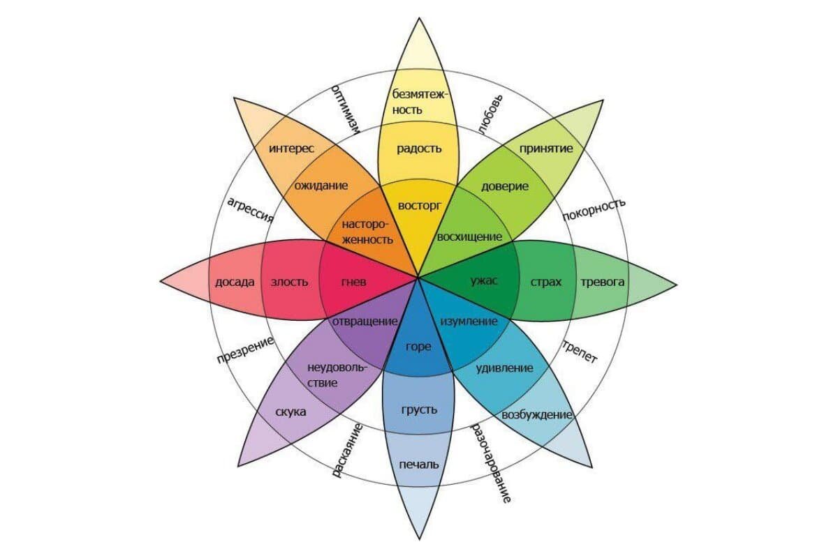 Колесо эмоций Роберта Плутчика: инструмент распознавания чувств |  Психология | Кочерыжкин | Дзен