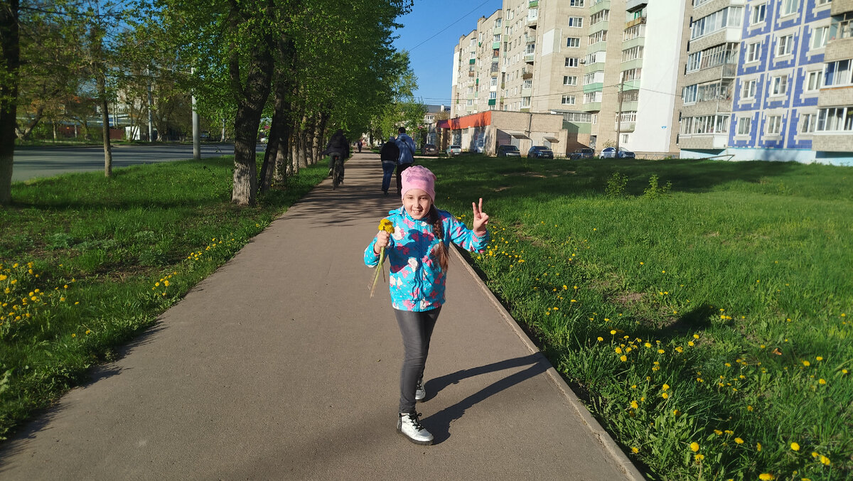 Дочка набрала одуванчиков.