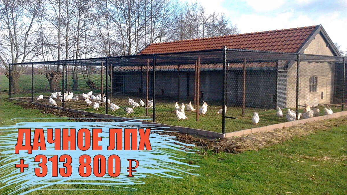 ЛПХ (фото из поиска Яндекс)