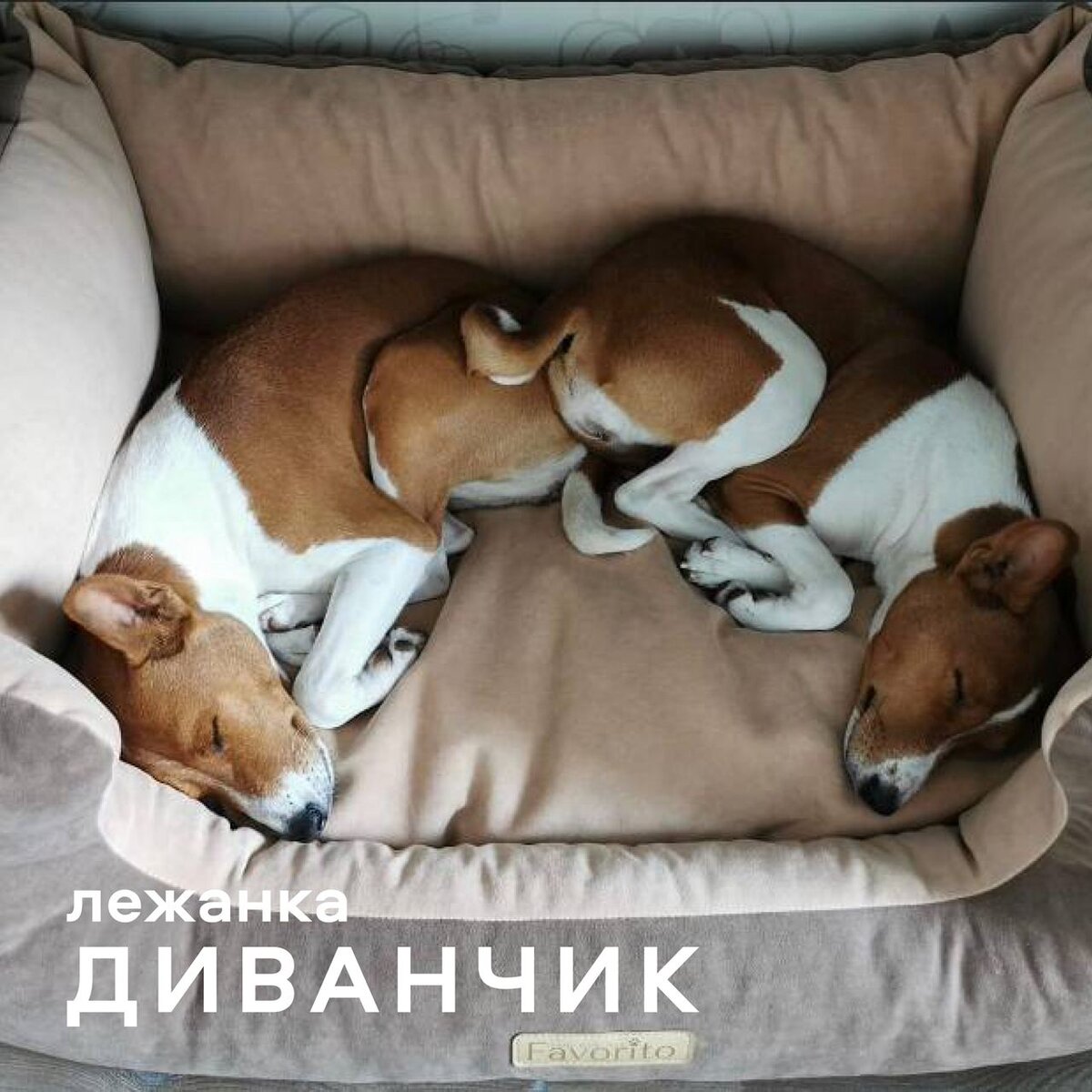 Диванчик в размере 80*65