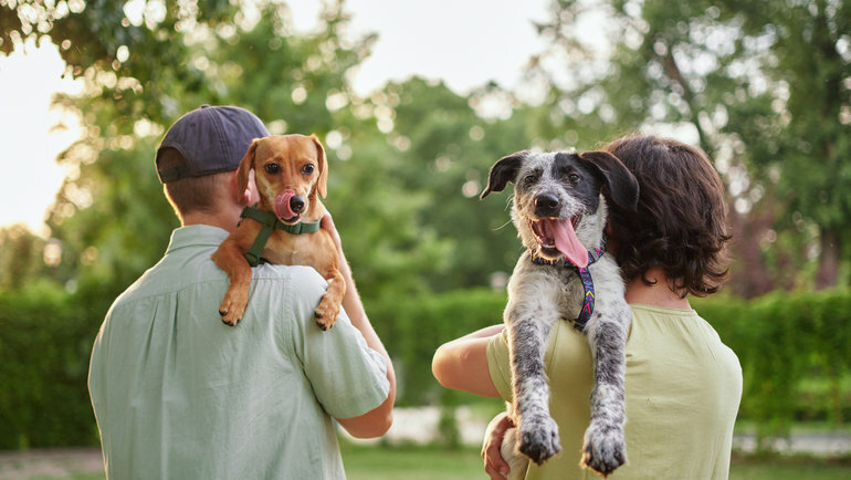    boytsov/istockphoto