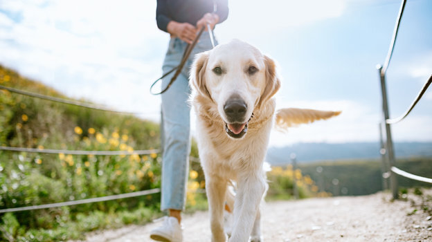    RyanJLane/istockphoto