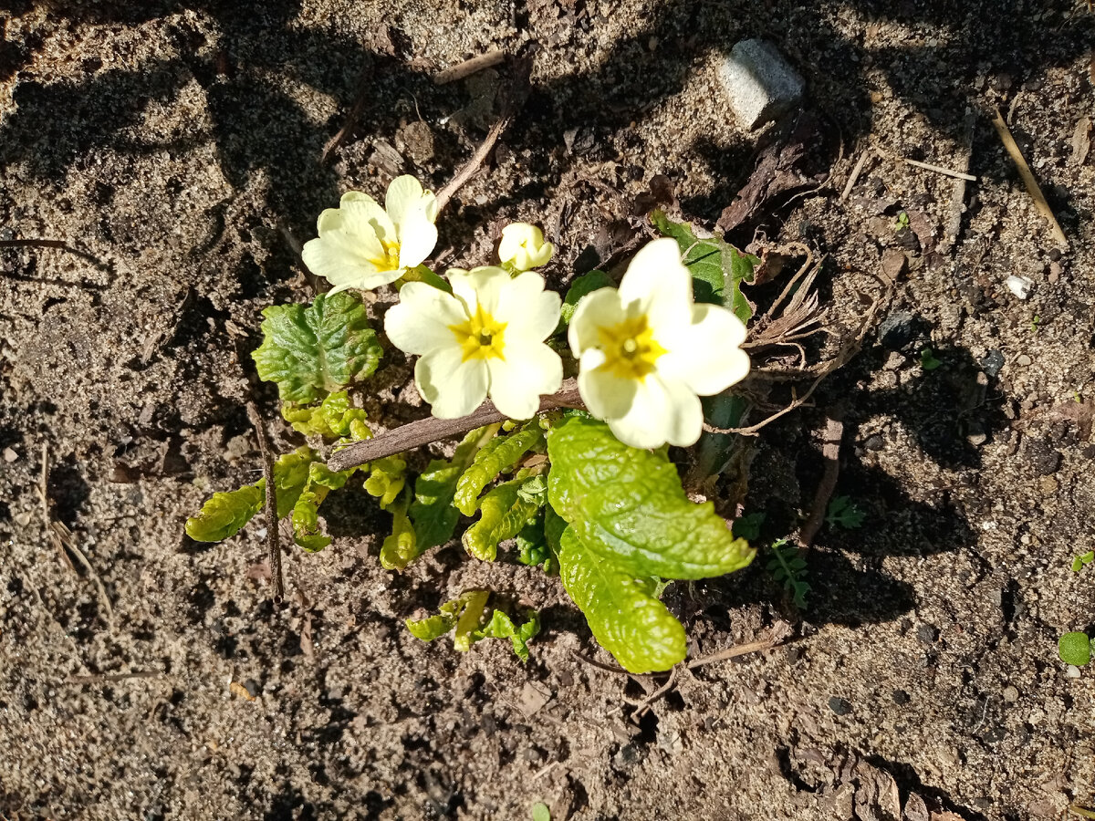 Фото из семейного архива.