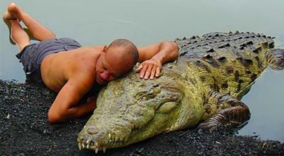 Отдых двух друзей