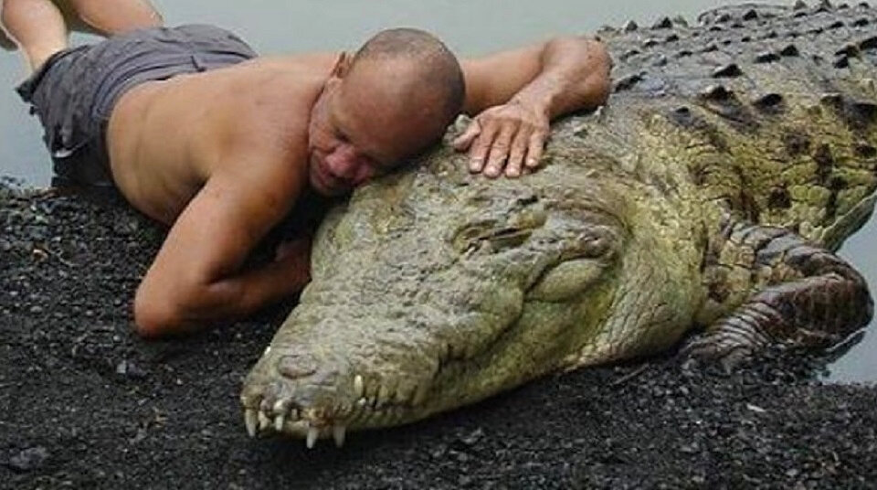 Мой ласковый и нежный зверь