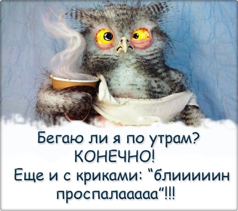 Кто принадлежать утро. Кто рано ложится и рано встает тот чокнутая птичка. Кто принадлежать утро. Как начинается ваше утро. Кто принадлежать утро.