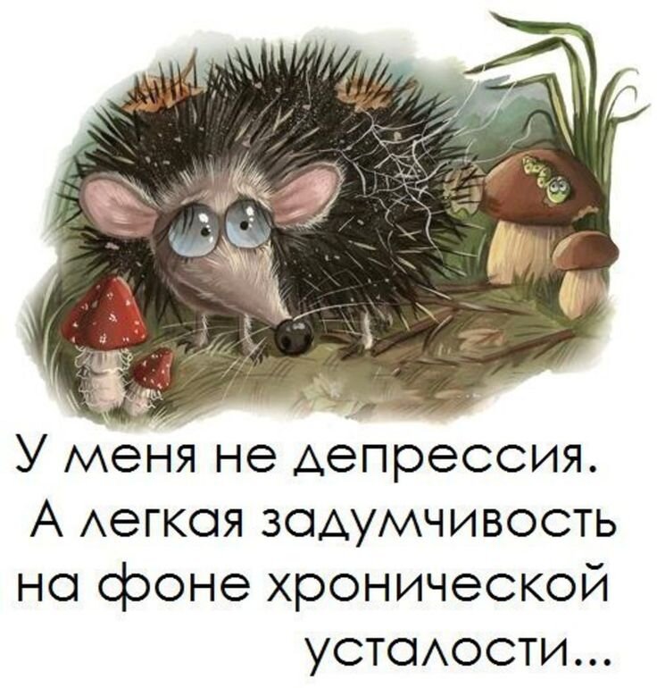 Найдено на просторах интернета. Фото из открытых источников. Ну вот так примерно невроз и появляется! 