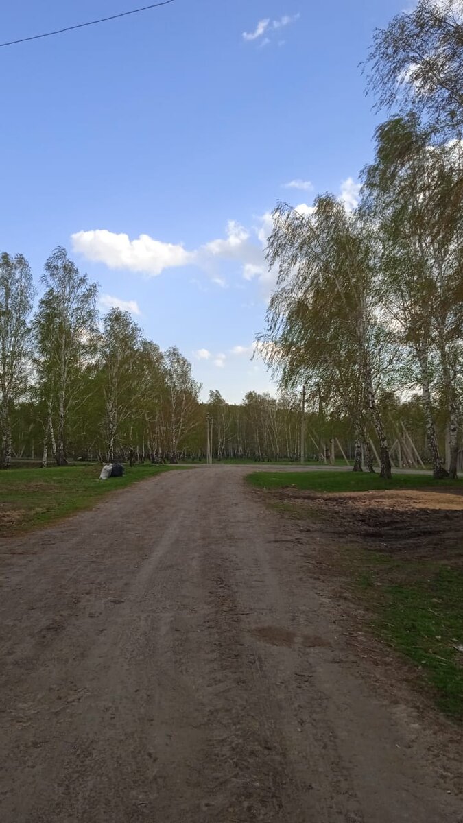 Фото автора.