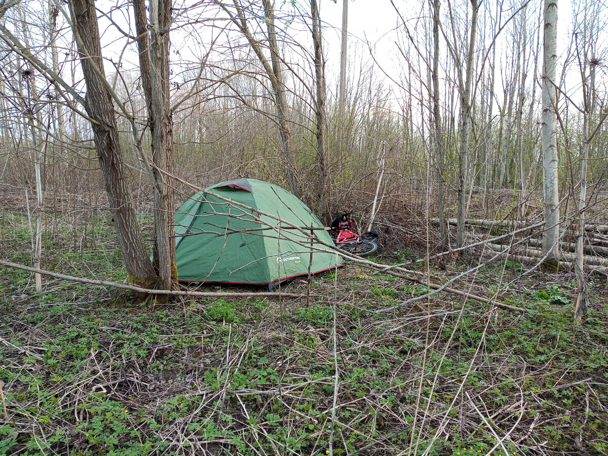 Лагерь в кустах 🏕