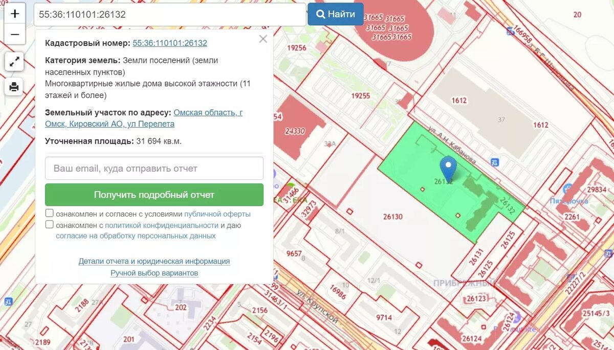     Источник: Публичная кадастровая карта Омской области