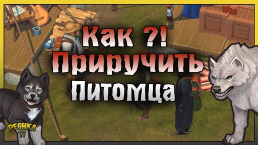 КАК ПРИРУЧИТЬ ПЕРВОГО ПИТОМЦА! СТРОИМ ВОЛЬЕР И СТОЛ ДЛЯ ПРИМАНОК! Westland Survival