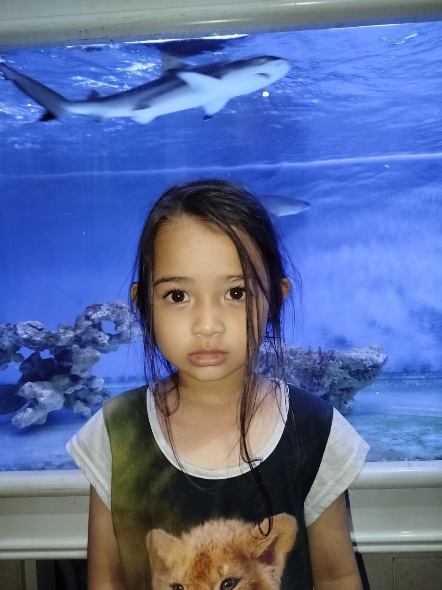 Лучшие рыбки для аквариума | Putri Jawa - Индонезия изнутри | Дзен