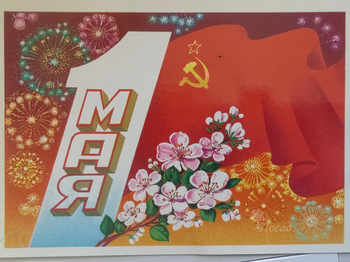 Что расцвело к Первомаю на даче. Большой фотоотчёт в День садовода ...