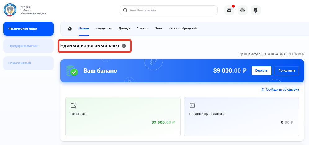 «РБК Инвестиции»📷Пример положительного сальдо на ЕНС физического лица в личном кабинете налогоплательщика