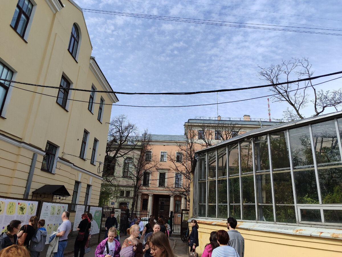 Фото автора. При входе в парк