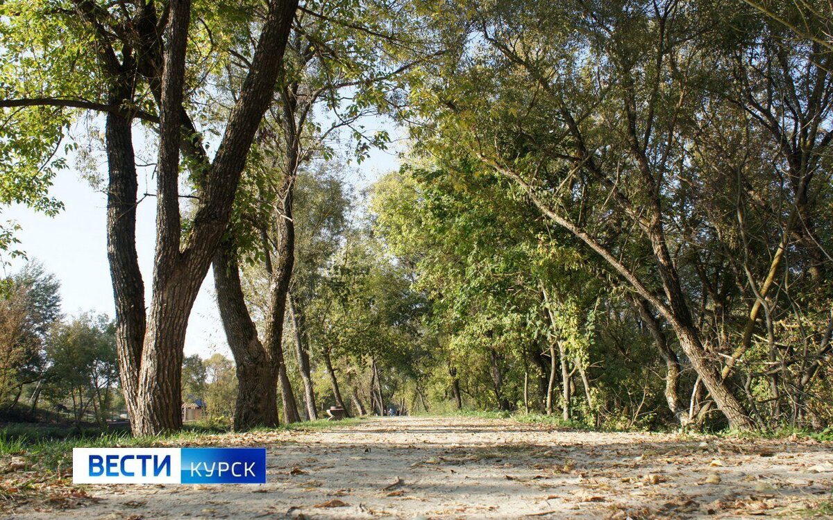    В Курске 1 мая один парк и 2 сквера обработают от клещей