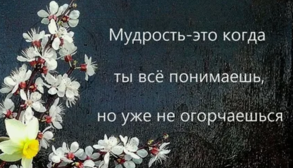 Ум мудрость это не знание само. Мудрость. Мудрость понятие. Человеческая мудрость. Мудрость это в философии