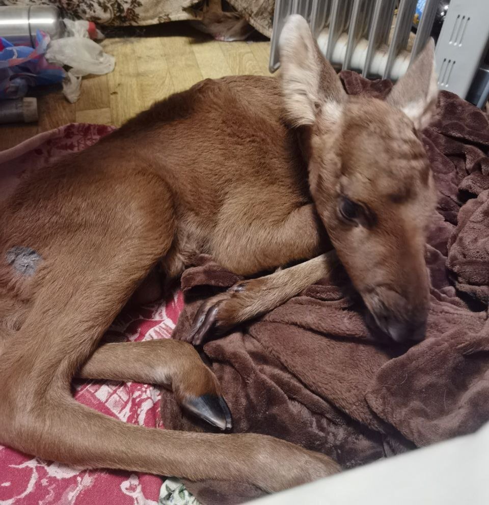 Фото: Геннадий Натёкин