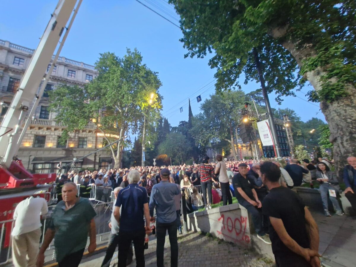 29 апреля в Тбилиси прошел митинг, организованный правящей партией Грузии «Грузинская мечта».