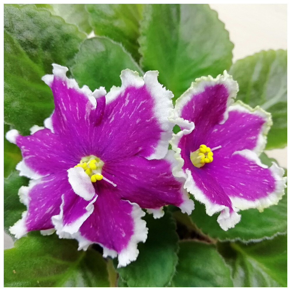 АВ-Тепло на Душе