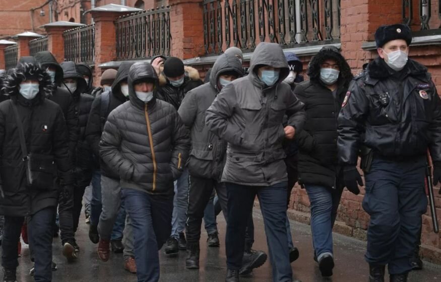    «Проблема у нас не в мигрантах, проблема в наших силовиках»: Пчелы против меда